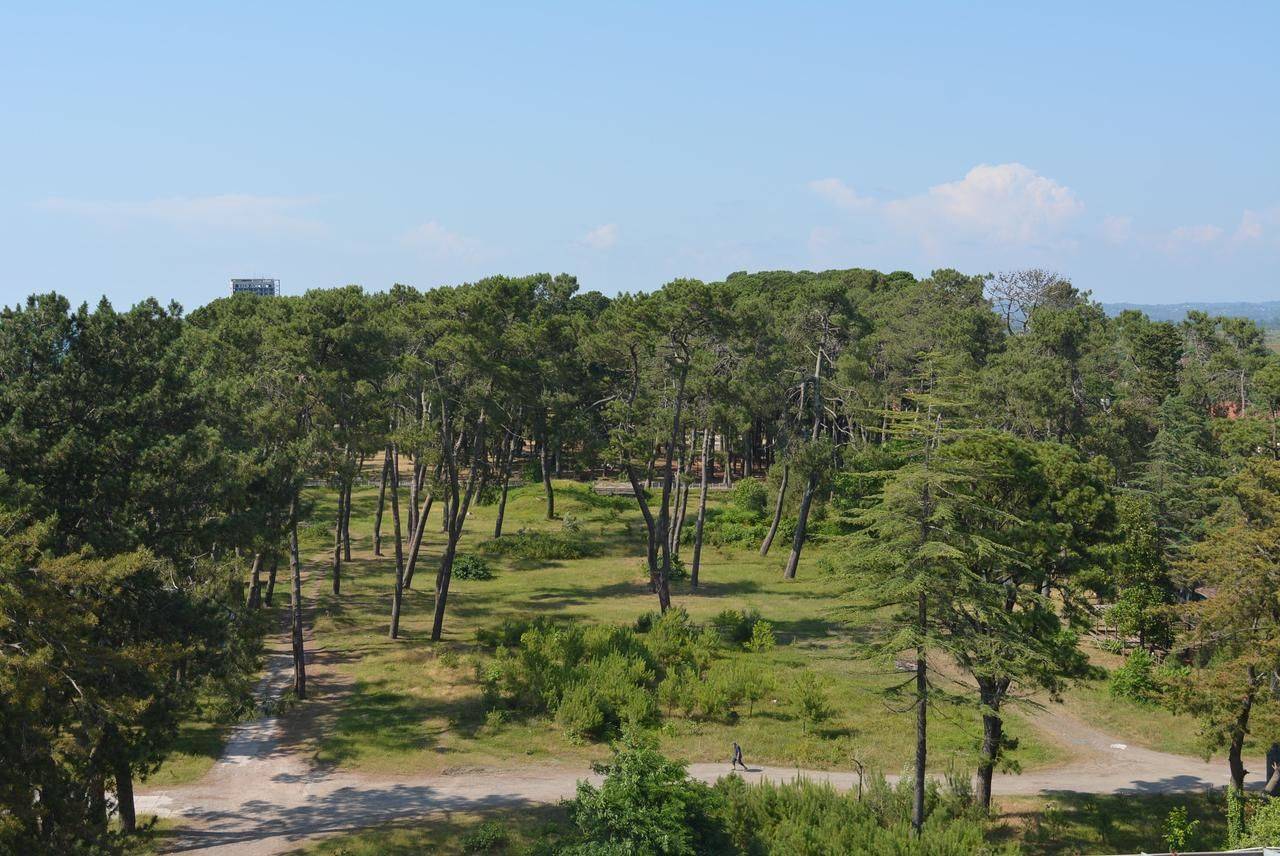 Фото  Kobuleti Beach Hotel Кобулети 36